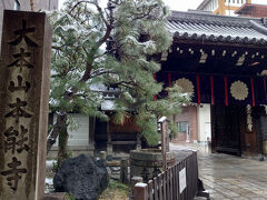 屋根や木に降り積もった雪。