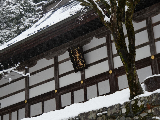 ズームアップ。<br /><br />扁額の文字は「法王法」。