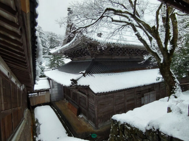 東側廻廊から見る仏殿です。