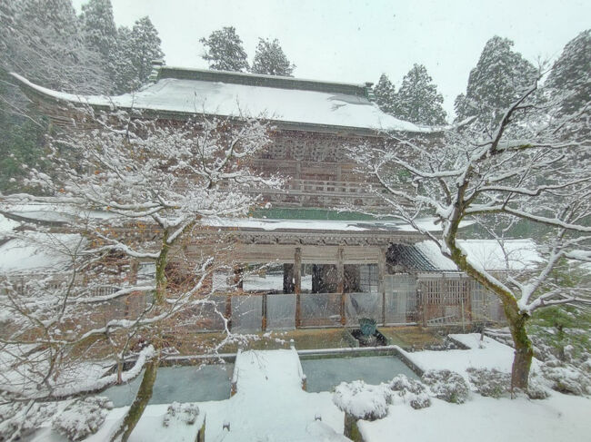 中雀門から見る山門です。