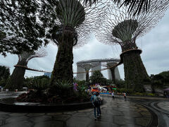 一向に雨がやまないし、疲れがたまってたので空港に引き上げてラウンジでゆっくりシャワーして仮眠でもすることに。