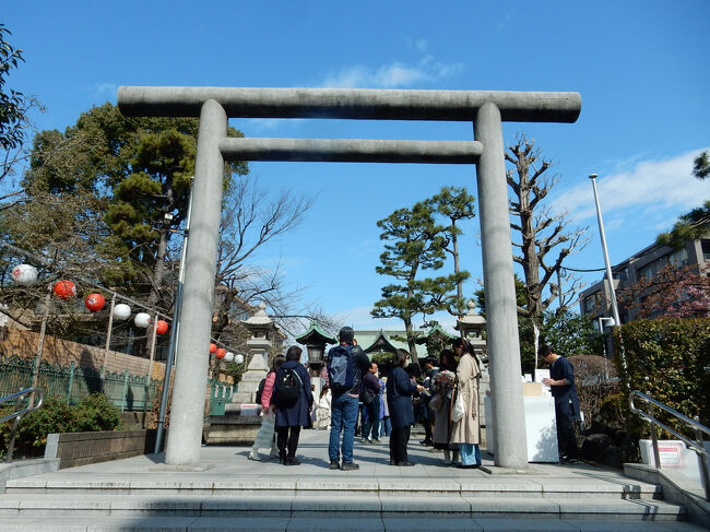 河津桜咲く 桜神宮 花さんぽ 」2025』三軒茶屋・駒沢(東京)の旅行記