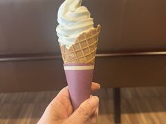 大宮から那須塩原まで、40分くらい。ちかいっΣ（・□・；）
2週間前に取った新幹線のチケットなのに、とくだ値10%オフチケット取れました。
コロナ禍では、取り放題だったのにね。

送迎バス時間までNasu Cafeでジャージー牛のソフトクリーム。