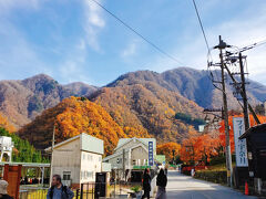 翌朝は早速トロッコです
紅葉には遅いかと思いましたが下の方は
めっちゃ紅葉でした！いいタイミング
トロッコも冬季休業直前！
