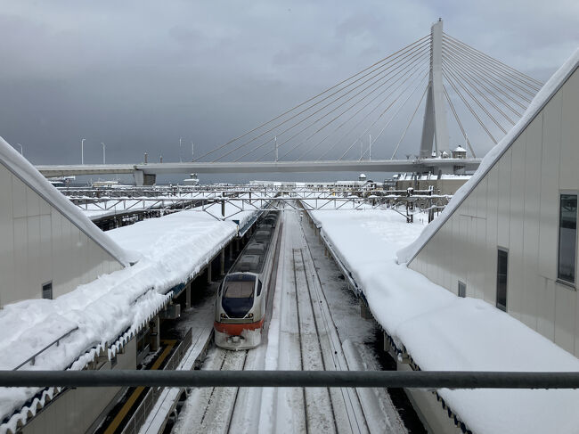 今日は動いてそうだ。