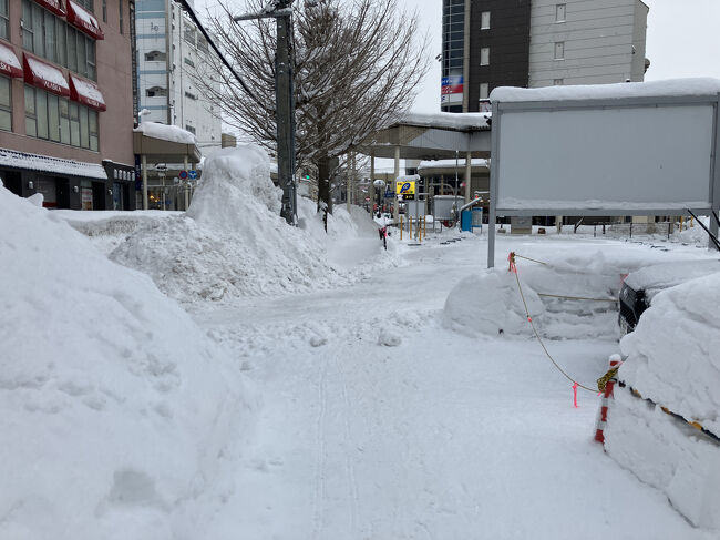 駅まで歩くが雪の量がすごいな。