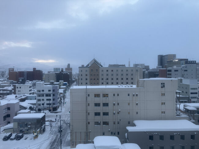 天気はよくないが雪は止んでそう。