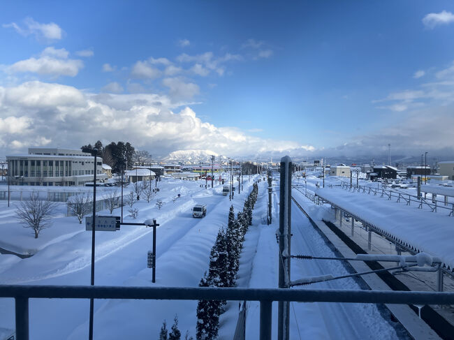 予報通りやはり雪。