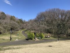 眺めの良いゆうひの丘という場所を目指して、桜ケ丘公園の中を通る。
