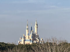 　　20分くらい走ると

　　ディズニーランドにつきました

　　　あれは　白雪姫のお城です

　　1時間散策になってますが、駐車場から

　　タウンまで、徒歩20分歩くのです。

　　ガイドさんの案内で　タウン（　ショップ　街　）　入り口に来て　解散

　　　残り　35分で　カフェ　ディズニーキャラクターショップを巡りました。

　　　シェリーメイ　などは買えました。