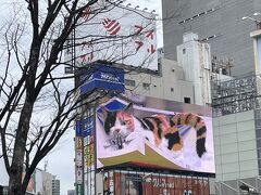 新宿駅