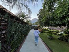 朝起きるとアンティグアの富士山　アグア火山がきれいに見えてた！
朝食会場に行く途中　添乗員さんが写真を撮ってくれました

こちらのホテル
プールが複数あるリゾートホテルです
