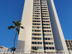 おはようございます。今日も良いお天気。