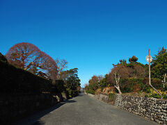 公園を突っ切って堅馬場通りへ。
現存する武家屋敷は復元したものだけど碁盤の目のような町割や、川石を積み上げた石垣や生け垣などは、400年前からほぼそのままの姿で当時の面影を残している。 