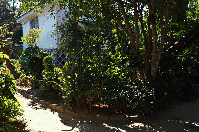 ＜蔵＞<br />太刀洗の向かいに建つ蔵周辺は木々が植えられて緑豊かだった。