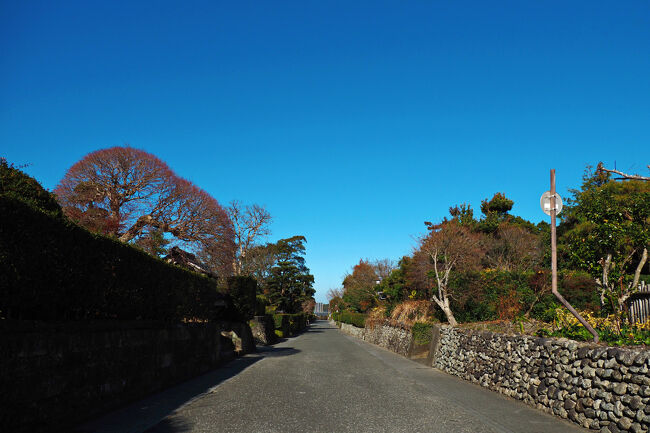 公園を突っ切って堅馬場通りへ。<br />現存する武家屋敷は復元したものだけど碁盤の目のような町割や、川石を積み上げた石垣や生け垣などは、400年前からほぼそのままの姿で当時の面影を残している。 