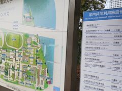 気になってたアレを見に行く
広いな、、