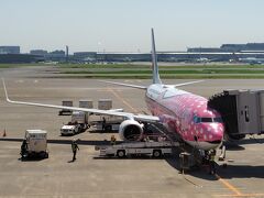飛行機での移動