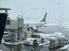新千歳空港
着