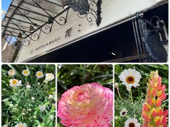 石川町駅の手前にお花屋さん「MOTOMACHI 花こ」があります。
花苗は￥100からあります。安いです。
色々買って帰りましたが
電車じゃなければ、いっぱい買いたかったです。

