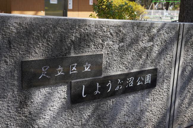 【中古】 御来訪学園へようこそ！ ５/冬水社/柿崎椋 G-107・二】特別茶缶入り特上煎茶・皐月 60g（クリアケース入）