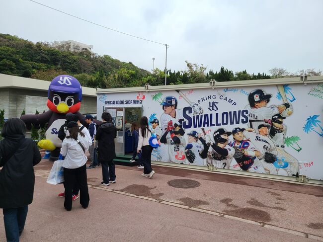 こちらはスワローズのグッズショップ。