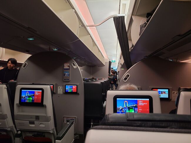 夜の便なので窓際にこだわることなく通路側をチョイス。