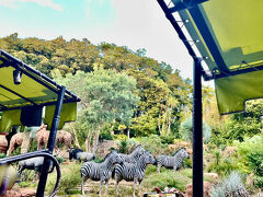 そのあとはジャングルクルーズ♪
久しぶりだったけどやっぱり楽しい♪