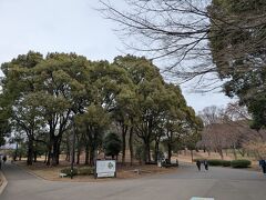 代々木公園