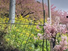 こちらには入園しなかったけど、囲い沿いを歩いた^ ^とてもキレイなすごいお庭です！