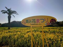 菜の花まつり絶賛開催中…

逆光中でもありますw