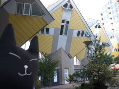 「わ～、これが見たかったにゃ♪　斜めのおうちって酔っちゃわにゃいの？」
Piet Blomの設計で1984年に建てられたキューブハウス(kubuswoningen)は、サイコロを斜め45度傾けて設置したような外観の集合住宅。