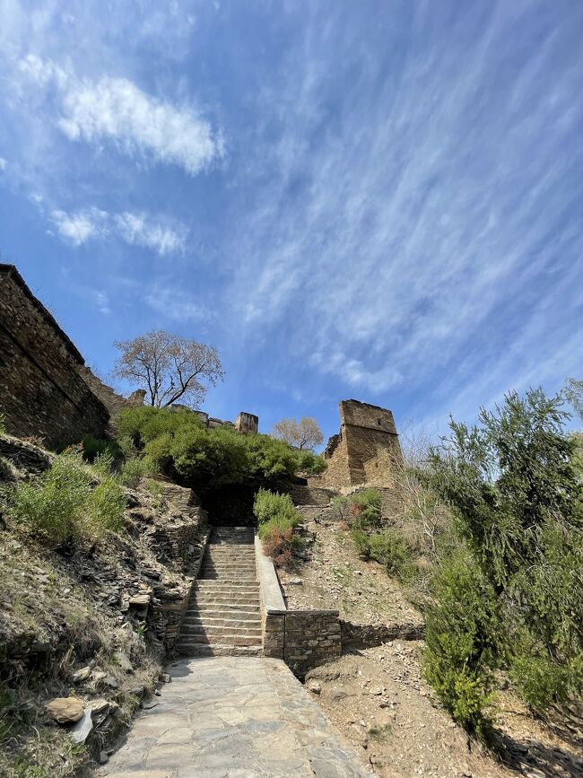 そうこうしてたどり着いたのがタフティ・バーイと呼ばれる遺跡。ガンダーラの主要な遺跡のひとつで、旅の余裕ができたので新たに追加した目的地だ。<br />現地の世界遺産の説明ボードによれば、紀元前2世紀から7世紀にかけて栄えた仏教集落とのこと。山岳地にあり、よくこんなところに建てたなと思う。日本でもチベットでも山あいの寺院は多く、源流なのだろうと感じる。