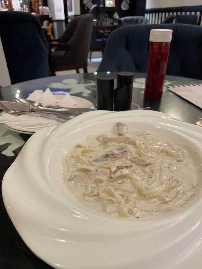 昨日のお店でカルボナーラ、クリームシチュー、アイスクリームをいただく（カルボナーラとクリームシチューでクリームかぶりなのはメニューから料理が推測困難なため偶然。なおデザートメニューのほとんどが提供不可で、唯一可能なのがアイスクリーム）。基本的に塩が多く肉のサイズが大きめだが、味は日本人の想像するものと大差はない。2120ルピー（約1060円）。<br />旅も大詰め、現金を使い切るモードに入っているので気が大きくなっている。明日は空港近くの街へ移動するが、その前に昨日入り逃したペシャワール博物館を見ておこうと思う。口頭で確認した限り明日は開館しているはずだが、ちらりとガイドブックをみると水曜休館とあるのが不安なところではある。