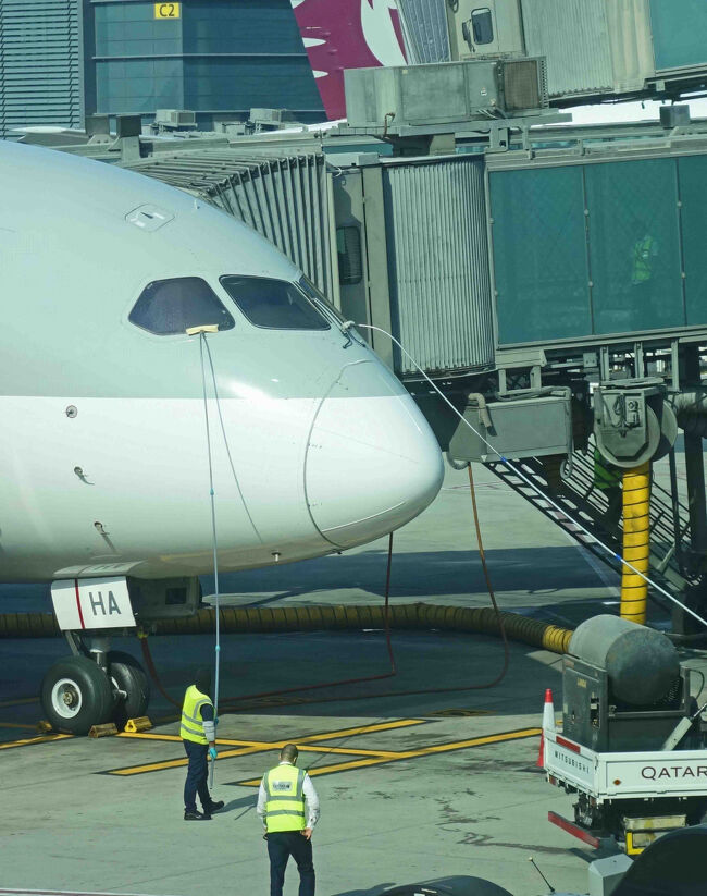 こんな感じでブラシ掛け