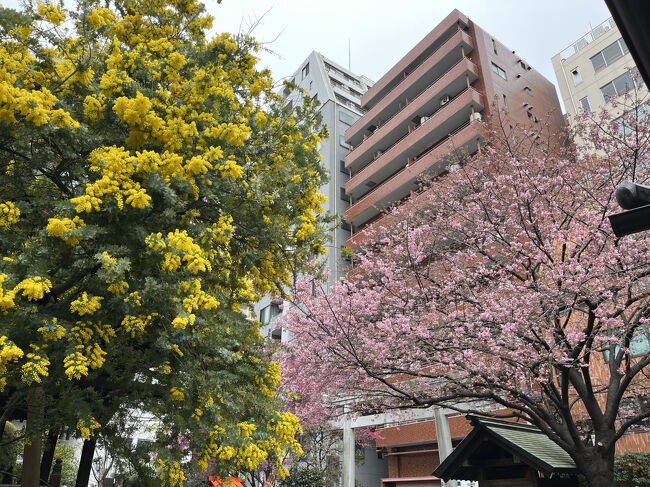 yumeさんの投稿/蔵前神社 ｜ ことりっぷ