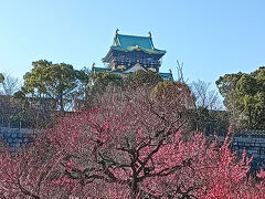 まだ 3分咲き といったところ
　