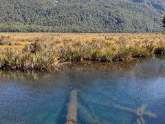 ミラー湖まで戻ってきました
こんなに澄んだ湖だったのですね、、朝は全く気づきませんでした