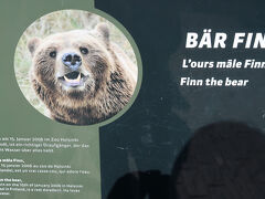 クマ園