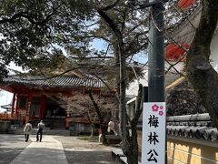 梅林公園？

昨日も　梅畑に行って来たのに　今日も　梅を見れるなんて！！！

思いもよらない事でした