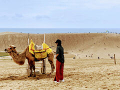 そして、砂漠といえば、ラクダ。
ここでは、ラクダライドもできるそう。

ところで、じっーと見てるお姉さん。
階段を使わず、
ラクダに直乗りしようとしてます？

ラクダ、横目でチラッ。警戒中。