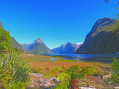 9時前にミルフォードサウンズに到着しました。この時間だと、クイーンズタウンから来る観光客はまだまだ到着していませんので、あたりは静かで非常にすいていました。
遊覧船の出発まではまだ時間があったので、散策を開始します。
早速ですが木々の間から待望の景色が見えてきました。