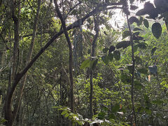 あっという間に夜が明けました。