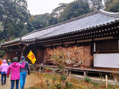 浄瑠璃寺本堂。
九体阿弥陀如来坐像はここに安置されている。本堂内部には九体阿弥陀如来坐像の他に秘仏の吉祥天女像、四天王像、不動明王像、子安地蔵菩薩像がある。
この寺は平安時代に流行した「九品往生」を信じた藤原道長が建てた法成寺を模して造られている。
元々当寺がある地域は古来より奈良仏教の聖地として大きな寺の僧が世俗の喧騒を離れ修養・研鑽のため出入りした地域で小田原別所と呼ばれていた。
平安時代「九品往生」を信じていた藤原道長が九体の阿弥陀如来を祀った「法成寺」を建立すると、競うように各地に九体の阿弥陀堂が建立され、そのうちの一つが浄瑠璃寺である。
「九品往生」とは極楽に至る道には九つの段階（下品下生から上品上生まで）があり、どの段階でこの世の命を終えるかによって、その後の阿弥陀様がお迎えに来られる手段・方法が九通りあるという教えである。
死者がどの段階で無くなるのかは本人には分からないので、九の段階・九通りの迎え方に合わせて阿弥陀様が九体揃っていればどの段階で亡くなったとしても無事往生できると考えられた。
藤原道長は死にさいして法生寺の床に横たわり、九体の阿弥陀如来像の手指に結んだ五色の糸を握りしめて命を終えたと藤原実資の日記「小右記」や栄華物語には書かれている。
NHKの大河ドラマ「光る君へ」では最終回、道長が死に臨んでおこなった九体の弥陀如来像と自分の手を五色の糸で結んだという話は大幅に割愛され、1体の阿弥陀如来と赤い糸で道長の指を結んだ形で放映されていた。
NHKの大河ドラマは物語の大部分がフィクションで史実とかけ離れているが、文献にもはっきり明記されている事でもあり、最後は史実に基づき放映して欲しかった。
さて、内部を観光する前に寺の僧侶から浄瑠璃寺の歴史、「九品往生」の意味、堂内に安置されている仏像の説明があった。
堂内の観光は本堂右端から本堂の裏に回り、本堂左側から入って内部の仏像を順に見て、右側から出ると言う順路だった。
50年前に拝観した時は本堂の戸は開いていて右側から入場した。本堂中央にある両扉は開け放たれていて本堂の内部から浄土の池や三重の塔を眺める事ができたが、今回の拝観方法は以前と大きく変わっていた。