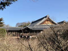 2025.03. 14　  PM15：33　　東福寺
https://tofukuji.jp/　　公式HP
京都府京都市東山区本町十五丁目778　　　無料Pあり
東福寺本坊庭園（方丈）　500円
通天橋・開山堂　　　　　600円（秋1000円）

花子さん見に行きましたが今年は3/2日までの様でした。　
