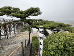 そういえば橋の南詰に名木「槍倒し松」がありました。