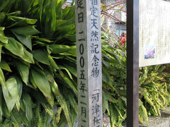 町指定天然記念物