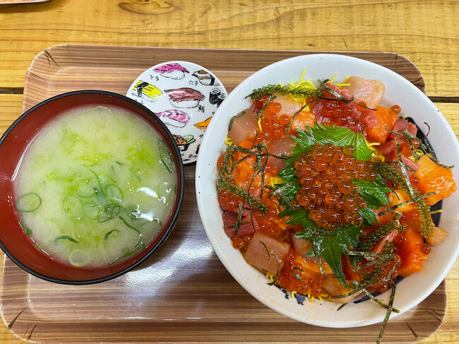 せっかくなので海ぶどうが入っている1日20食限定の「焼津海鮮ちらし丼」をいただきました。<br />美味しい！！<br /><br />この後お買い物をして次の目的地へ。