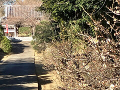 佐倉市、佐倉地区、妙隆寺。