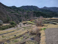 昼はそうめんだ！とグーグルでお店を検索して向かうがとんでもない山の中、しかも劇混みであきらめた。
能登でもこういった田んぼがあったなー。